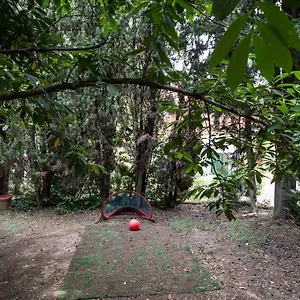  Appartamento Vatican Quiet With Garden & Parking